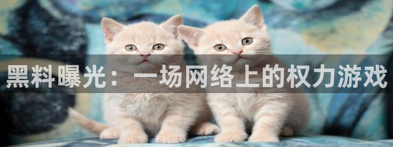 吃瓜小说