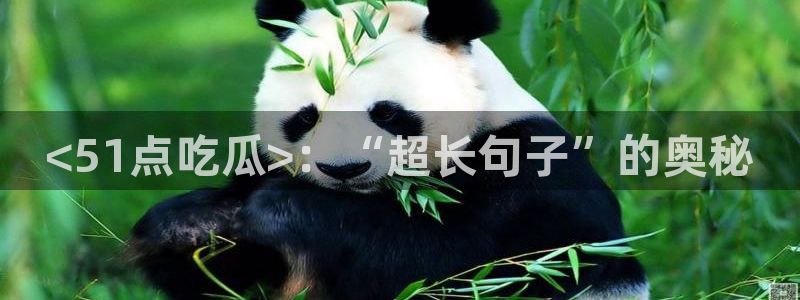 高血糖能吃籽瓜吗