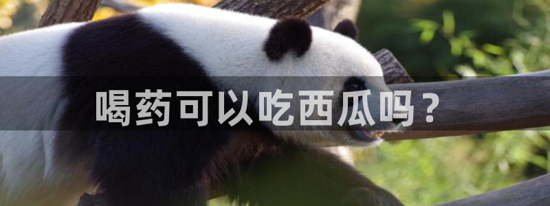 51吃瓜网今日必吃每日大瓜：喝药可以吃西瓜吗？