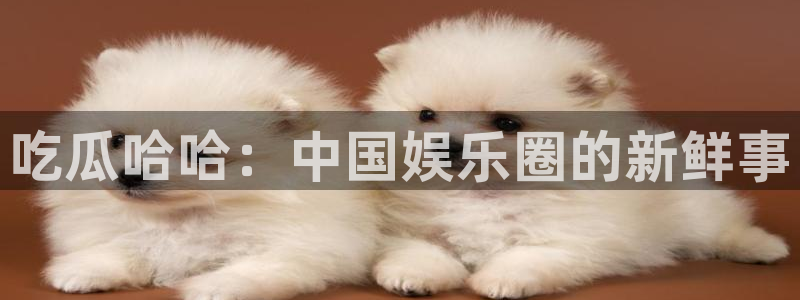 51吃瓜网热门大瓜：吃瓜哈哈：中国娱乐圈的新鲜事