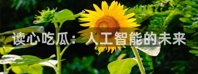taipeinana51吃瓜：读心吃瓜：人工智能的未来