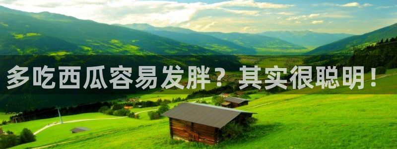 吃瓜是什么意思?