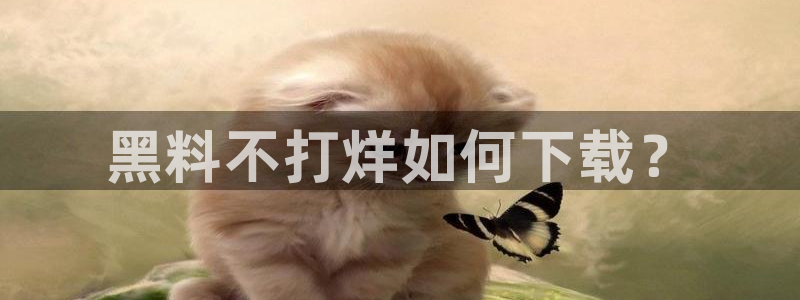 吃瓜