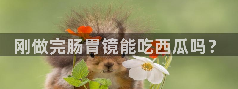 51吃瓜网更新最快最全的：刚做完肠胃镜能吃西瓜吗？