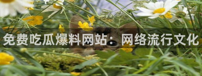 51吃瓜今日吃瓜入口最新：免费吃瓜爆料网站：网络流行文化