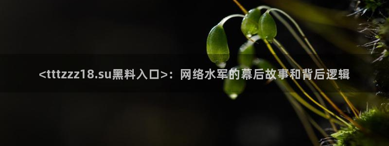 今日黑料：<tttzzz18.su黑料入口>：网络水军的幕后故事和背后逻辑